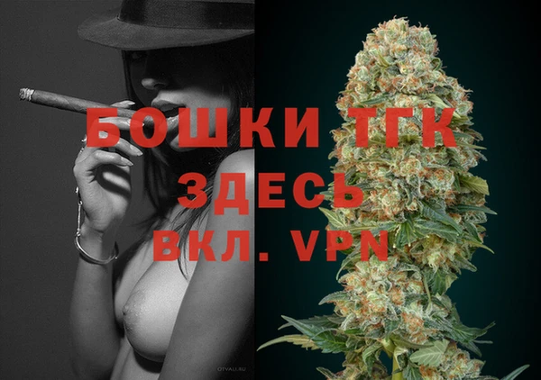 ешки Алзамай