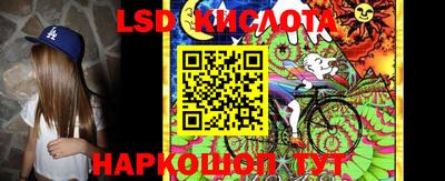 амф Донской