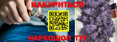 a pvp Дубна