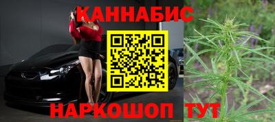амф Донской