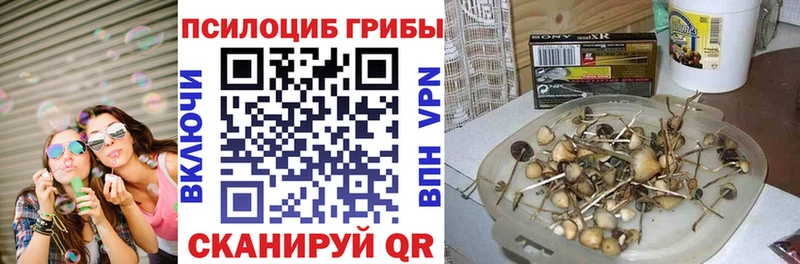 Галлюциногенные грибы мухоморы  Невинномысск 