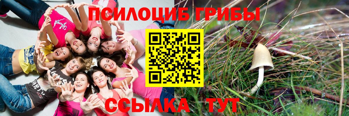 Галлюциногенные грибы мухоморы Невинномысск
