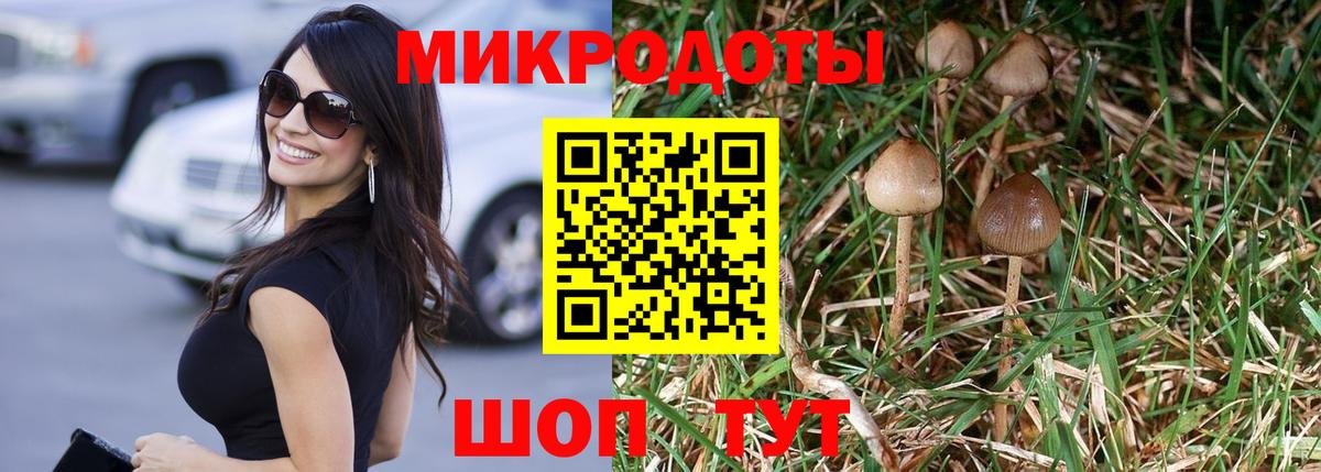 наркота  Галлюциногенные грибы Psilocybe  Вход с VPN  Галлюциногенные грибы мухоморы  Невинномысск 