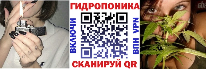 Бошки Шишки VHQ  Невинномысск 